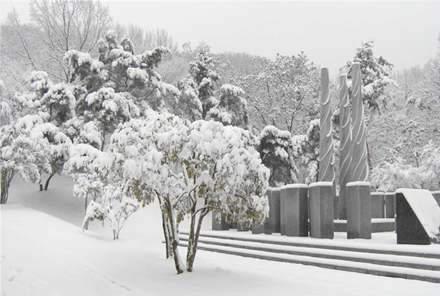 두류공원 겨울사진3